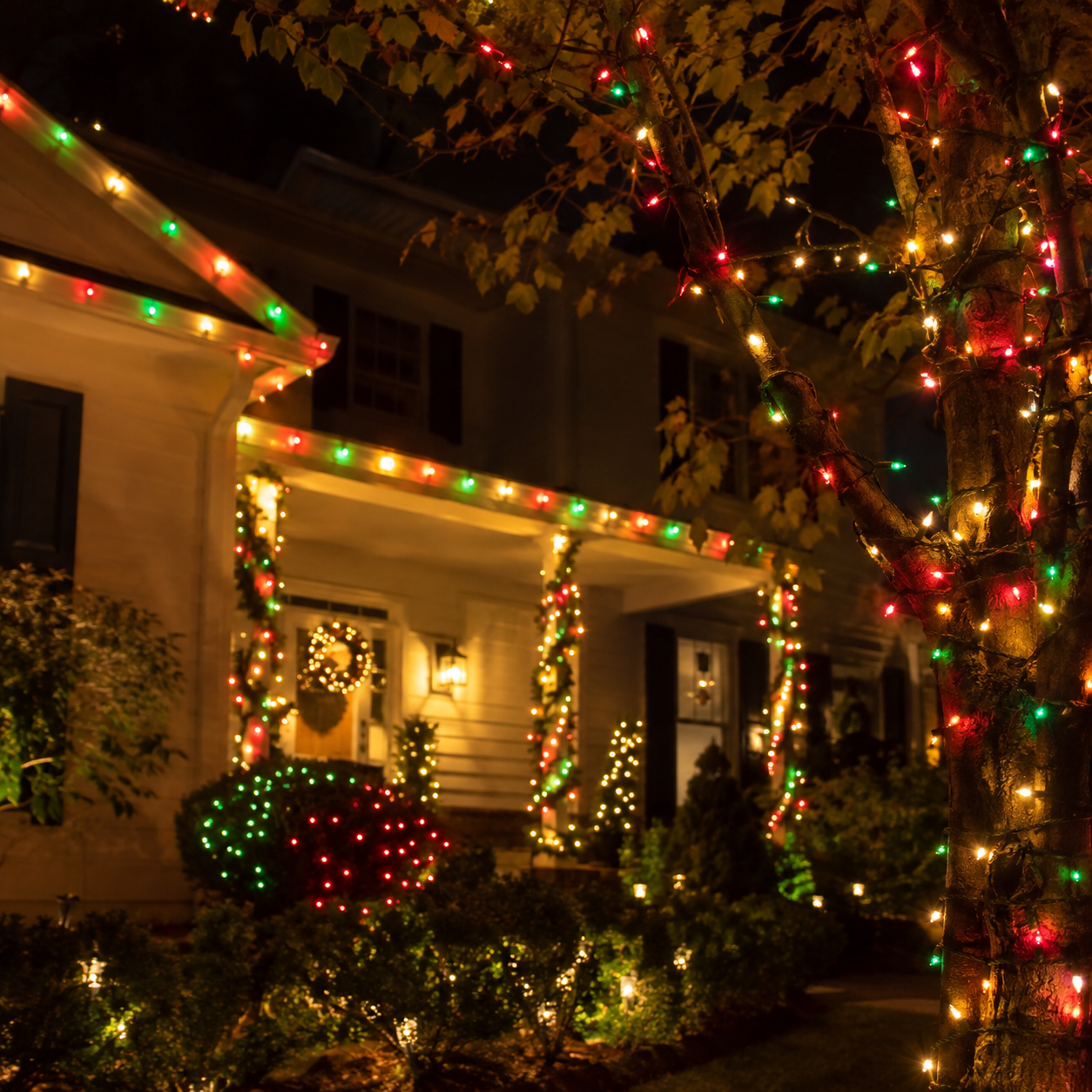 Guirnalda de luces LED multicolor decorando un árbol o el exterior de una casa